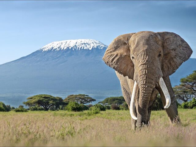 KILIMANJARO: IL MAGICO TETTO D’AFRICA E LA LEMOSHO ROUTE