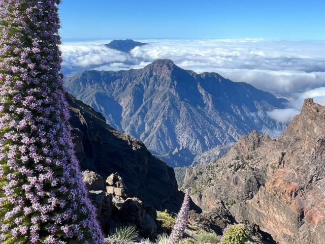 LA PALMA E TENERIFE: CAPODANNO-TREK ALLE CANARIE