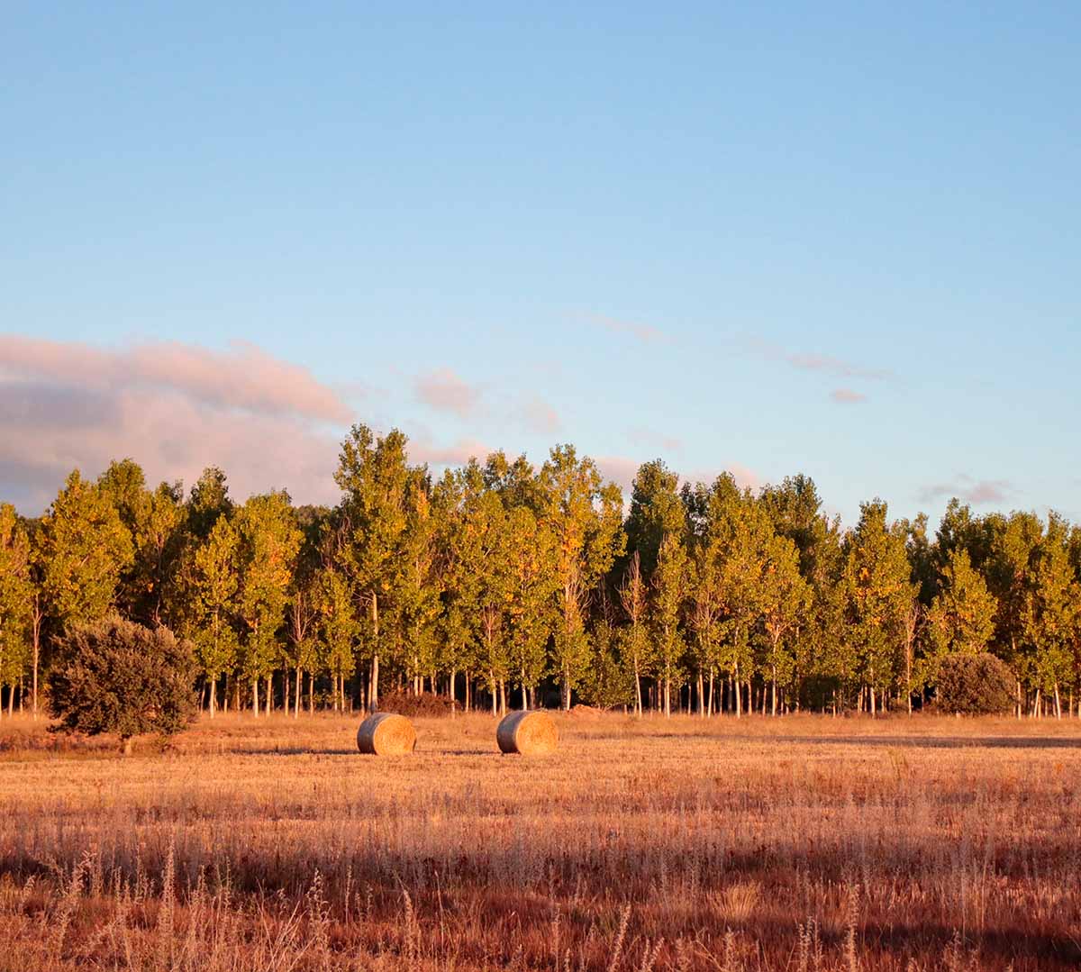 Itinarrando - Cammino Francese da Astorga - Gallery - 01