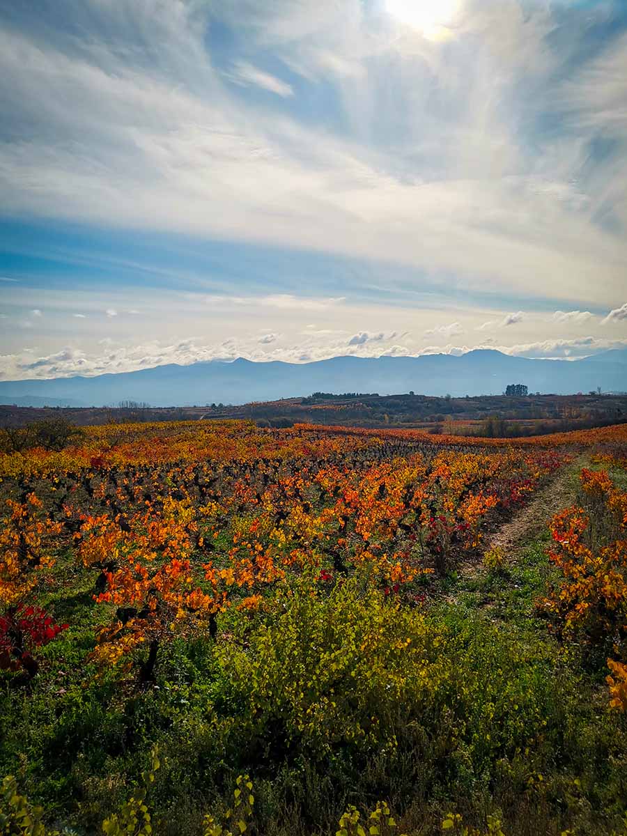 Itinarrando - Cammino Francese da Astorga - Gallery - 02